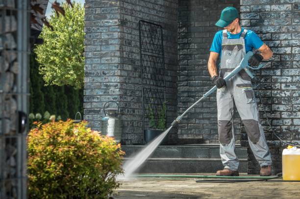 Best Dumpster Area Cleaning  in Middle Island, NY